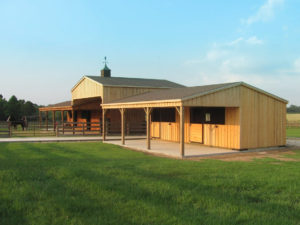 Horse Barns at Farm & Yard