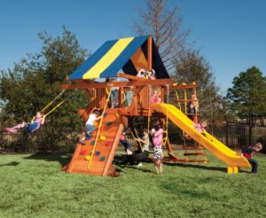 Farm-and-yard-central-texas-Jaguar-Playground-small-Backyard
