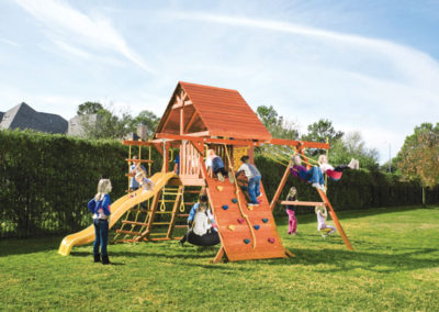 Parrot Island Playcenter with Wood Roof