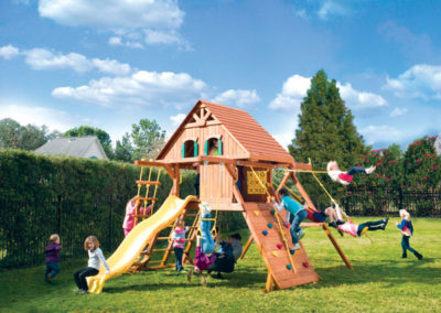 Parrot Island Playcenter with Wood Roof and Treehouse Panels