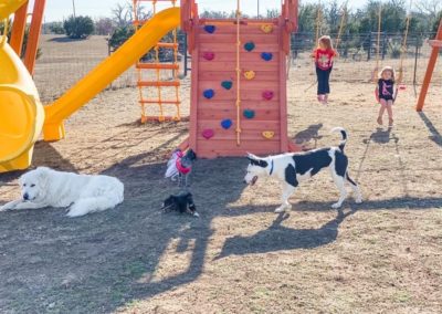 farm-and-yard-central-texas-58-jaguar-playground-customer-1