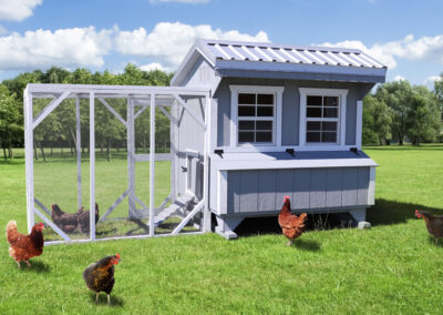 Farm+Yard-5x6-Brahma-Chicken-Coop-1