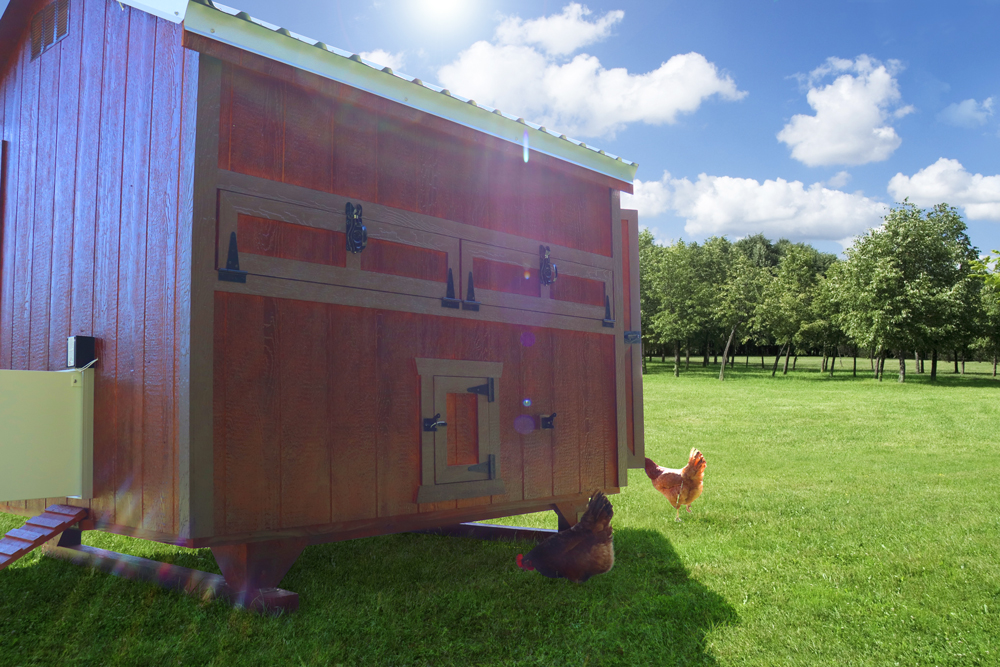 Farm+Yard-6x8-Plymouth-Chicken-Coop-1