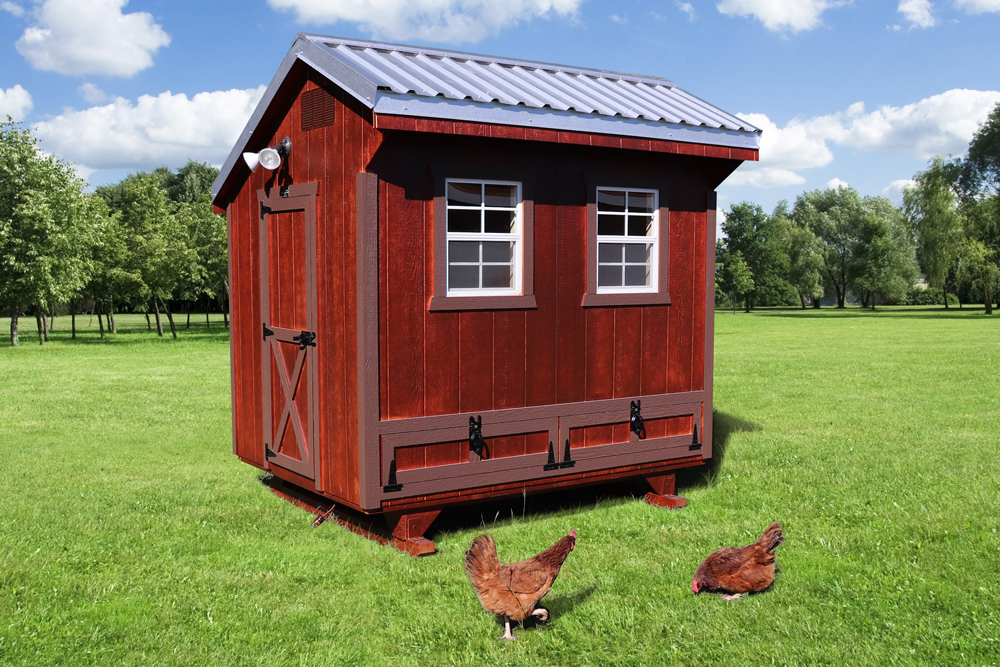 Farm+Yard-6x8-Plymouth-Chicken-Coop-4