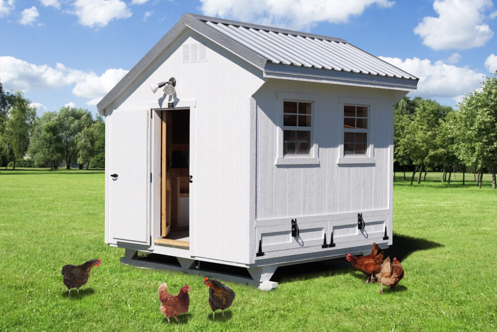 8x8 Plymouth Chicken Coop - FARM + YARD Central Texas