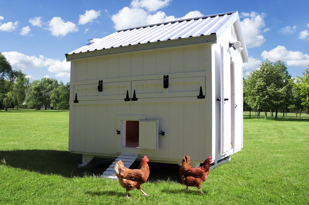 Farm+Yard-8x8-Plymouth-Chicken-Coop-2