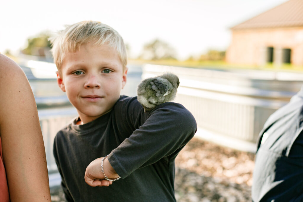 baby chicks in Waco Farm + Yard TX