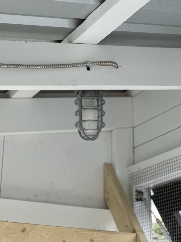 Dust free, Interior light positioned inside the chicken coop. 